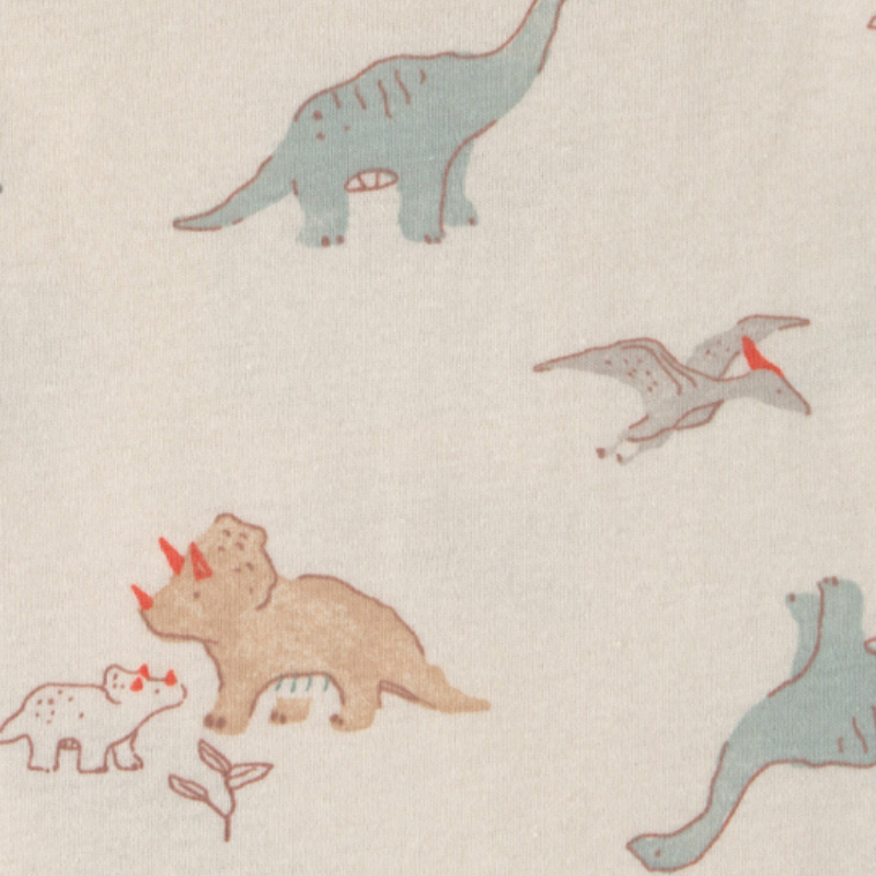 Set de 5 mamelucos de dinosaurios para bebito