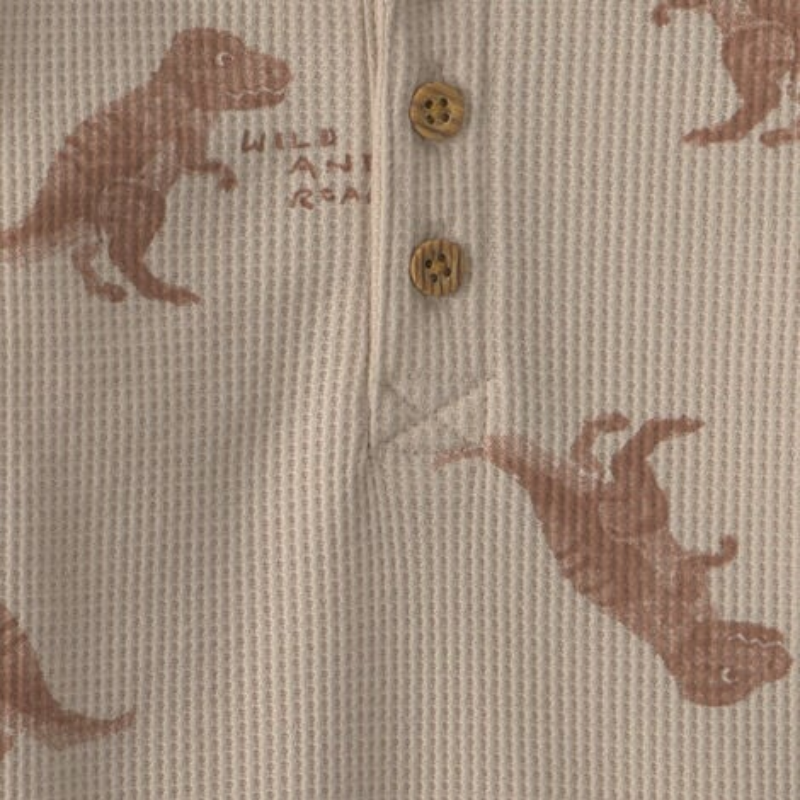 Conjunto de dinosaurios con pantalón para bebito
