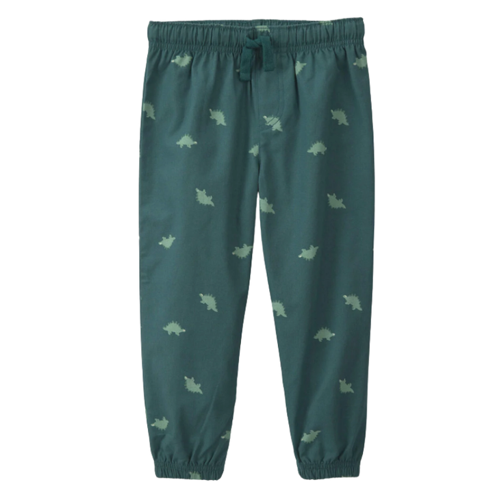 Conjunto 2 piezas con pull over de dinosaurio y pantalón verde