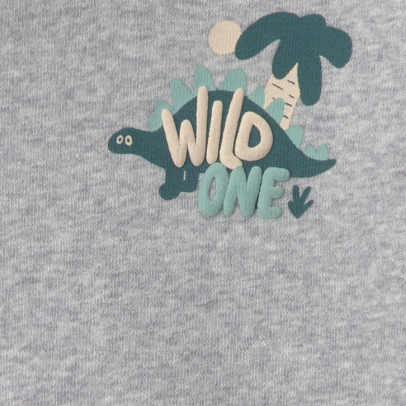 Conjunto 2 piezas con pull over de dinosaurio y pantalón verde