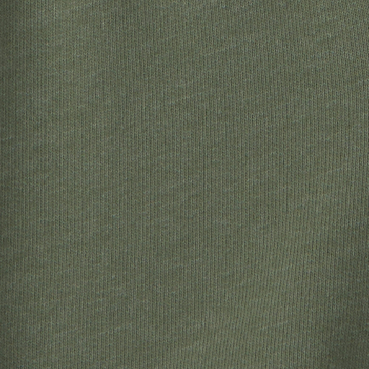Conjunto 2 piezas camiseta de dinosaurios y short verde