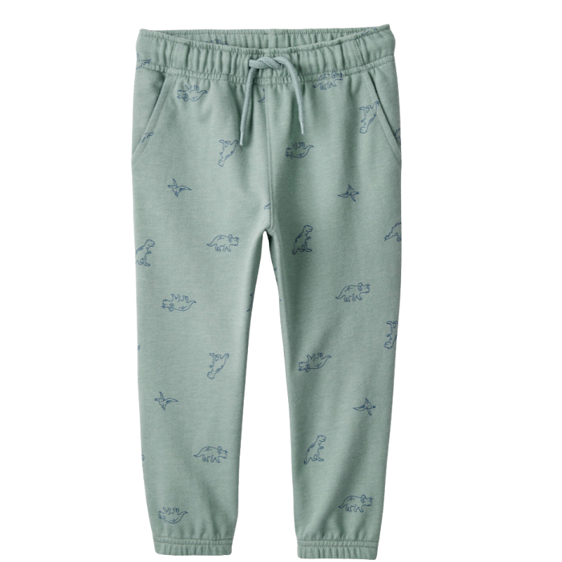 Conjunto de 2 piezas estilo buzo con gorro detalle dino