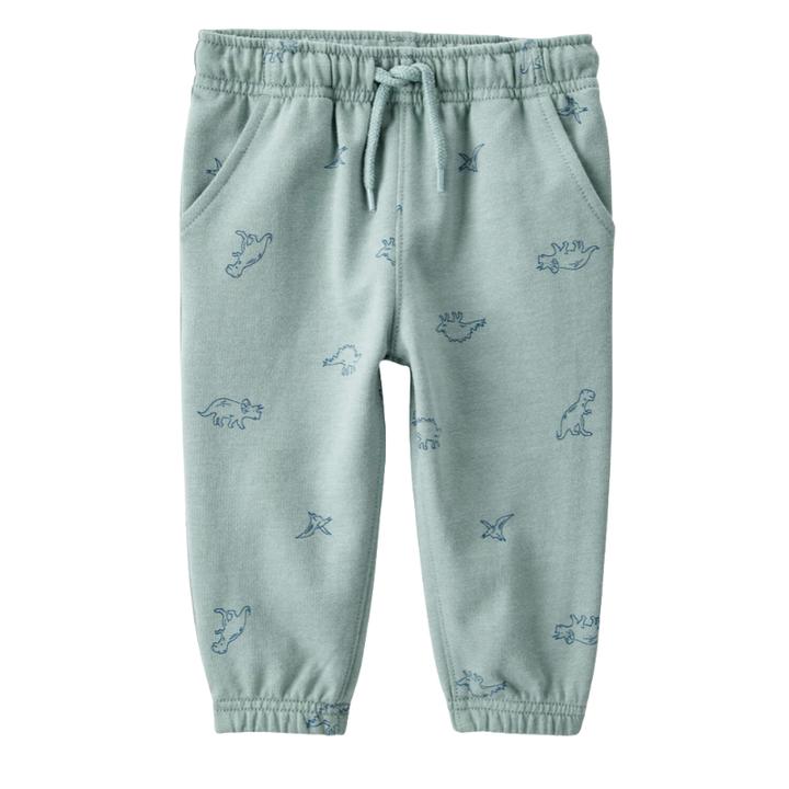 Conjunto pantalón y abrigo con gorro con motivo de dinosaurio