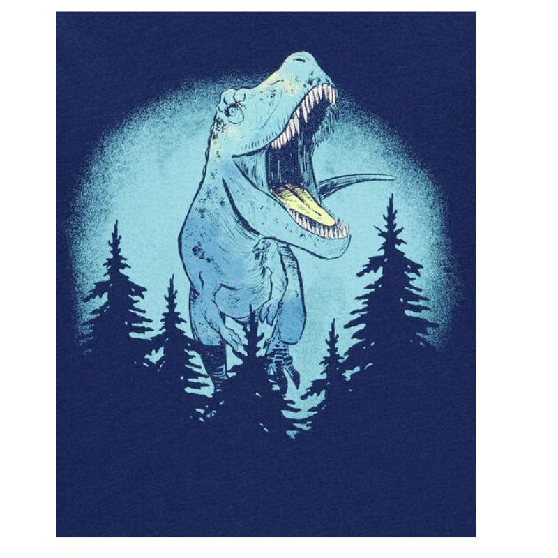 Camiseta manga larga dino