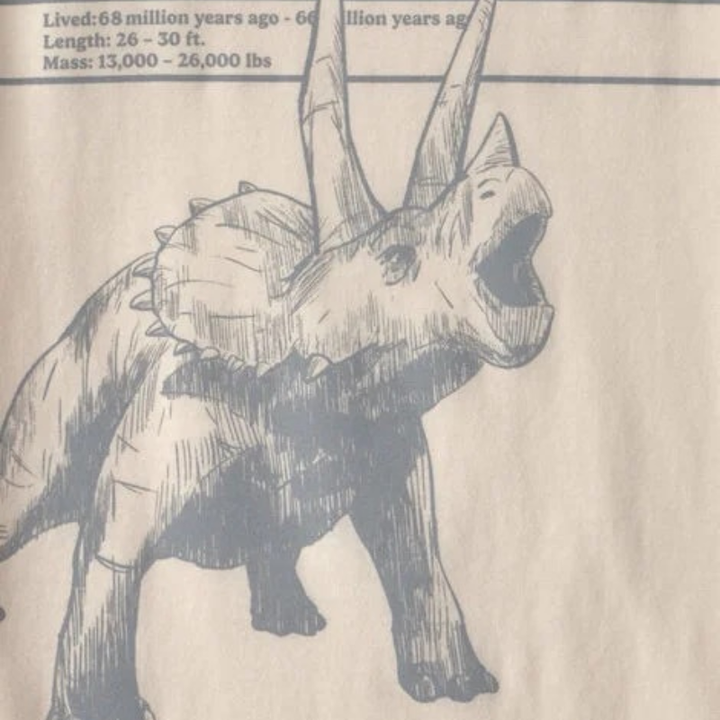 Camiseta con estampado de dinosaurio Triceratops para niño