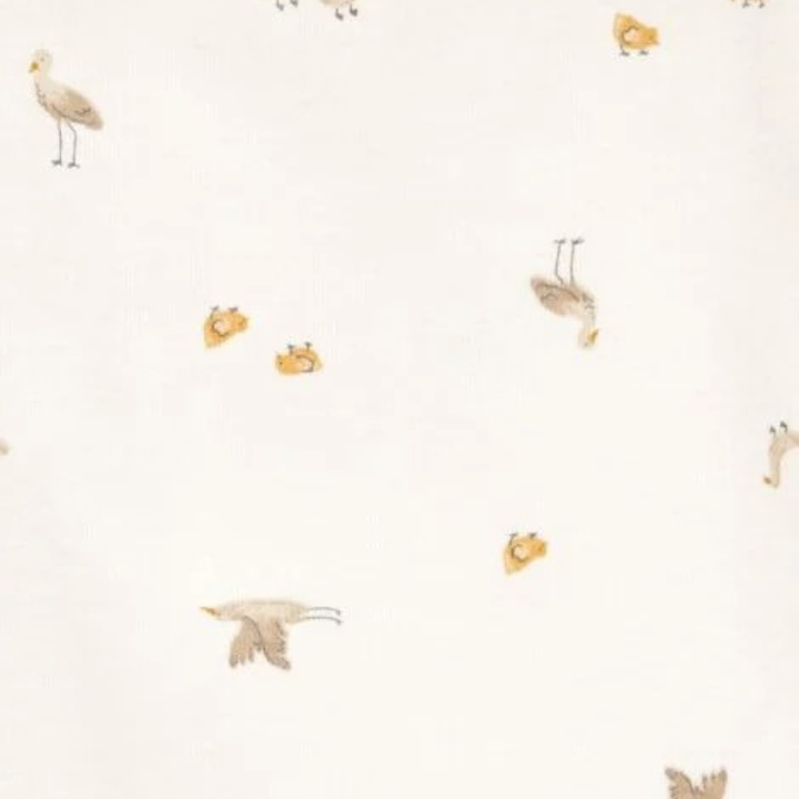 Set de 5 mamelucos manga corta con aves para bebito